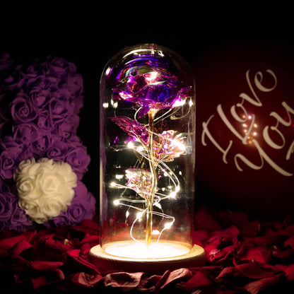 Galaxy Rose Eternal Lamp