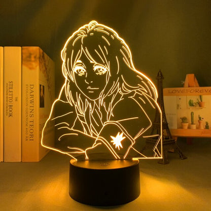 Acrylic Figure Night Lamp