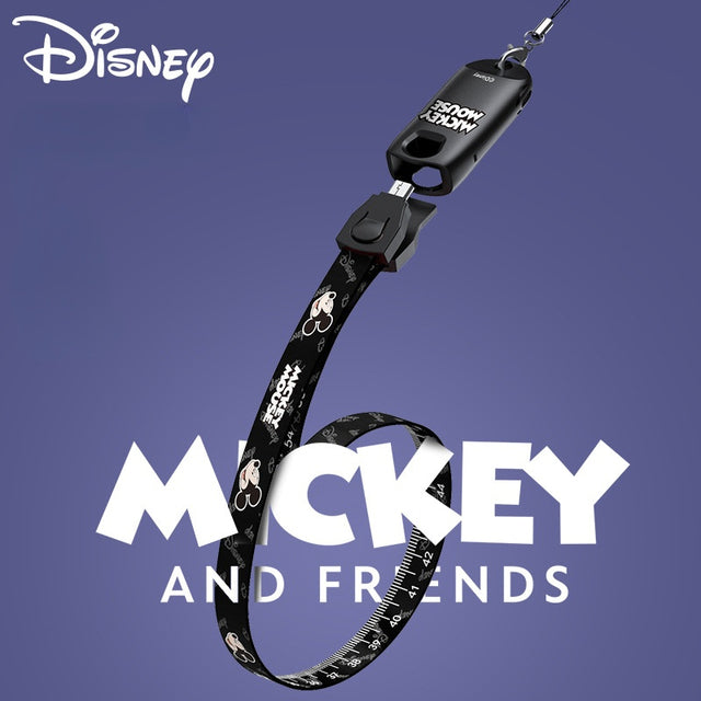 Disney Data Cable Lanyard