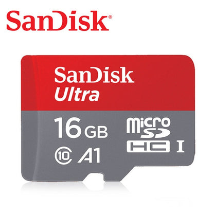 SD Memory Card