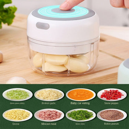 Mini USB Electric Food Chopper